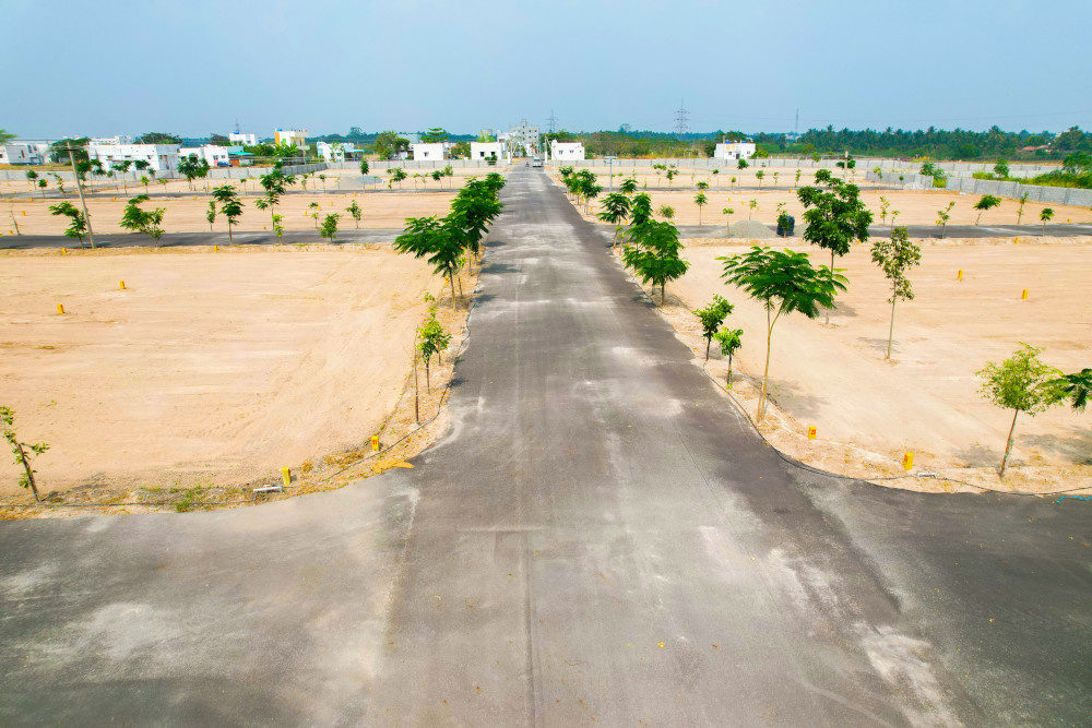  sai green city phase iii Plot