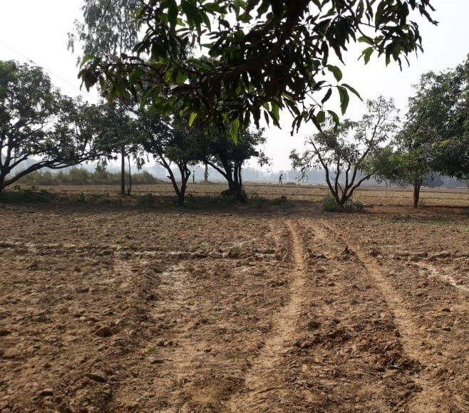  green garden estate Plot