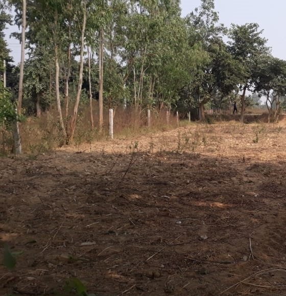  green garden estate Plot