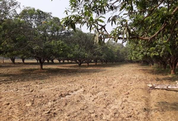  green-garden-estate Plot