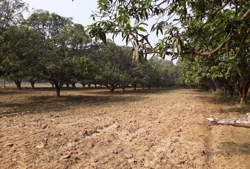  green garden estate Plot