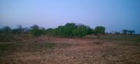 Sai City