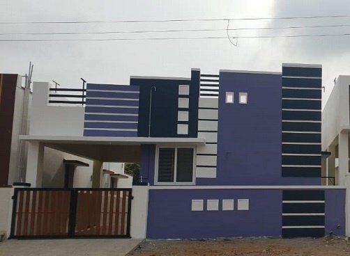  south city Elevation