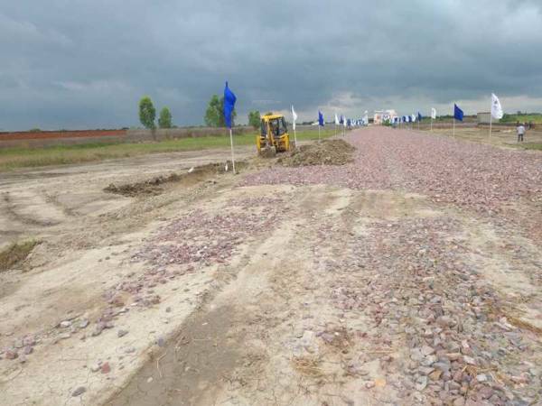 Elevation green-city Elevation