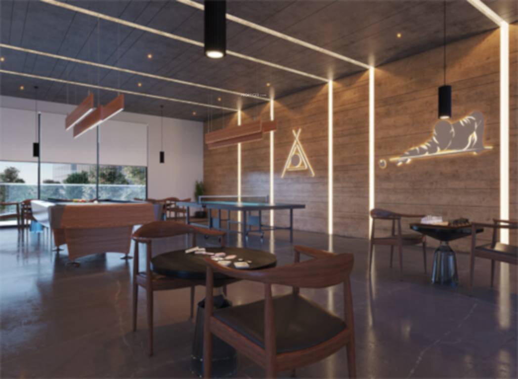  riviera elite Indoor Games