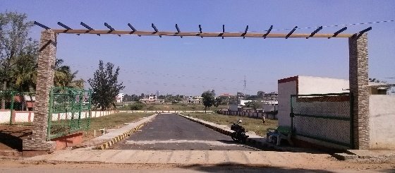  forest view Elevation