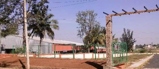 Elevation forest-view Elevation