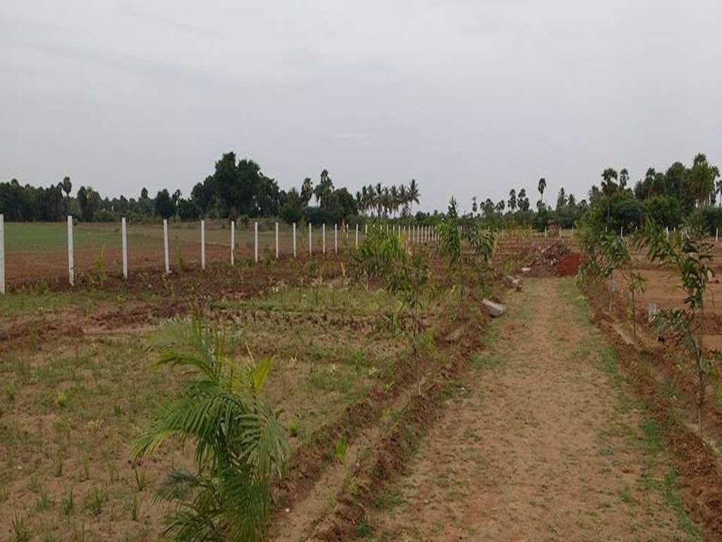  nandavanam Elevation