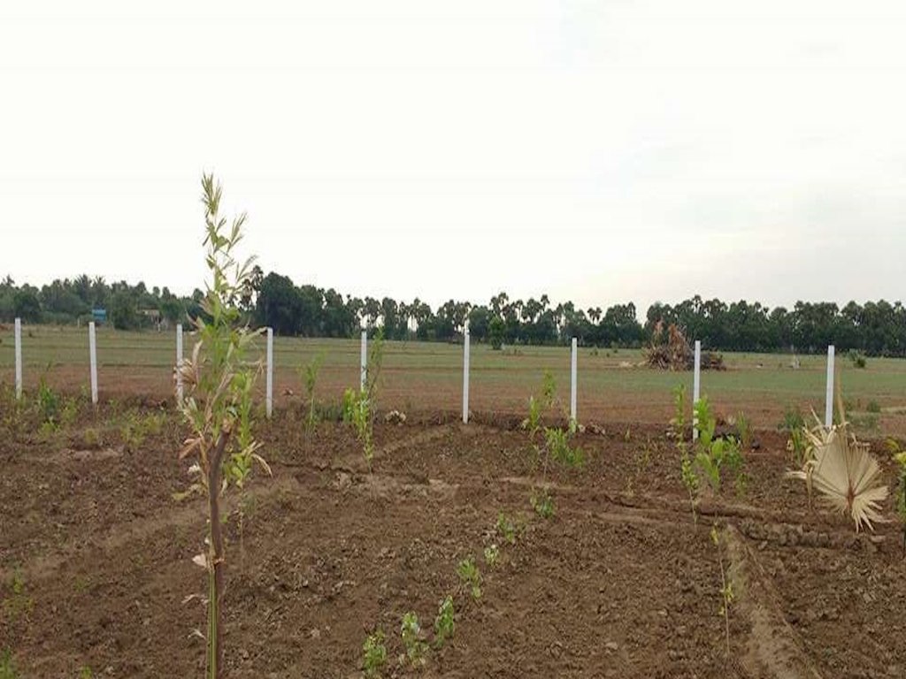  nandavanam Elevation