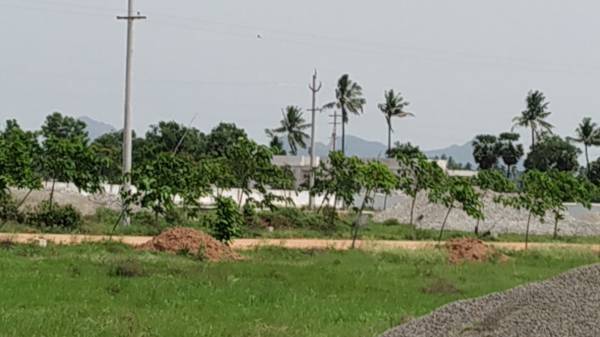  harmony-town Elevation