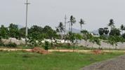 Harmony Town