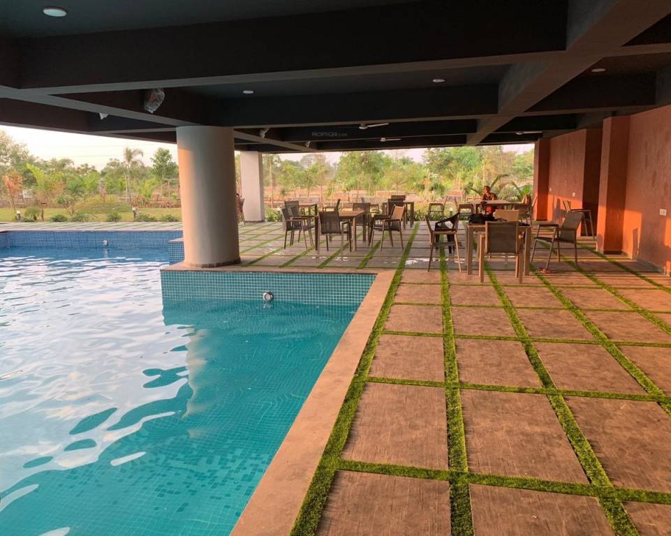  natures edge Swimming Pool