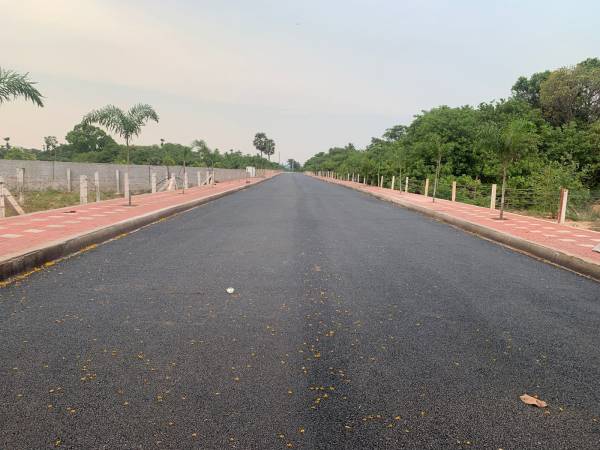  harbour-city Internal Roads & Footpaths