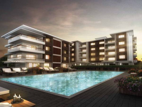  primavista Elevation