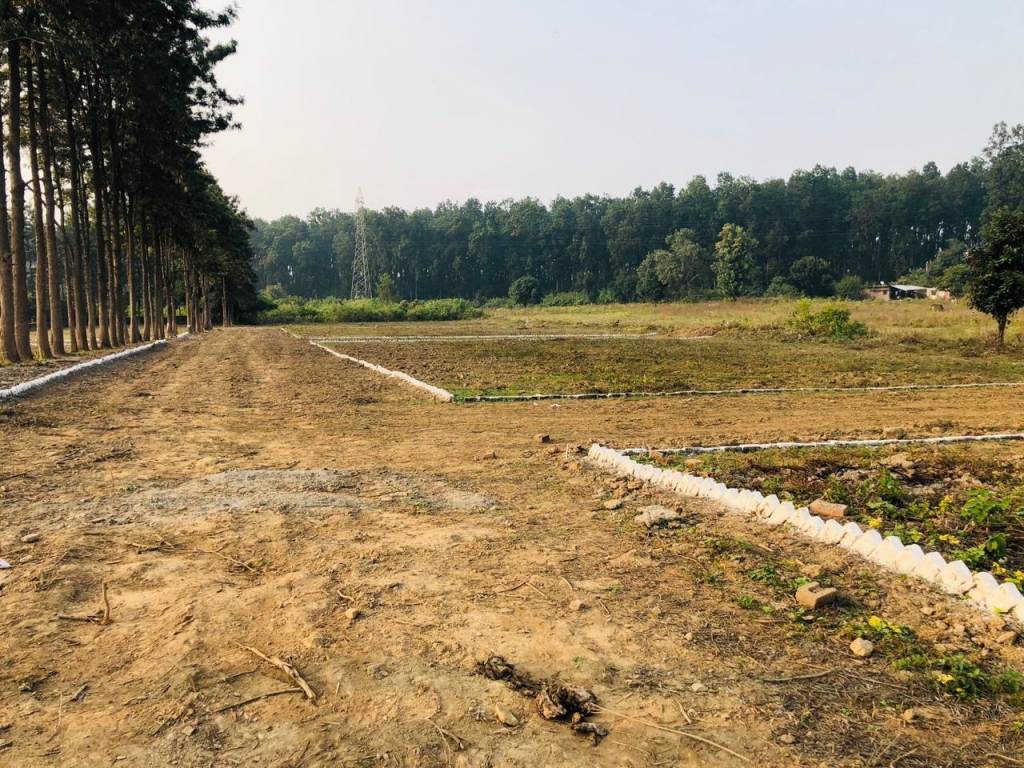  defence colony prem nagar Plot