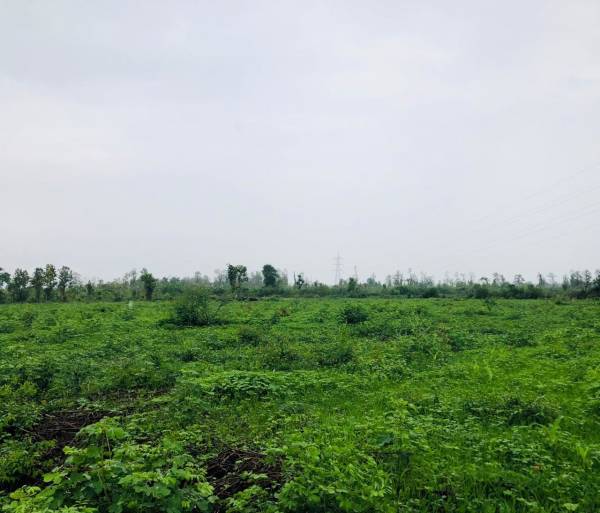  defence-colony-mussoorie-view Plot