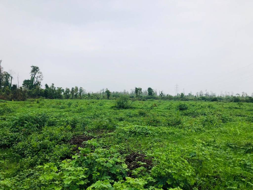  defence colony mussoorie view Plot