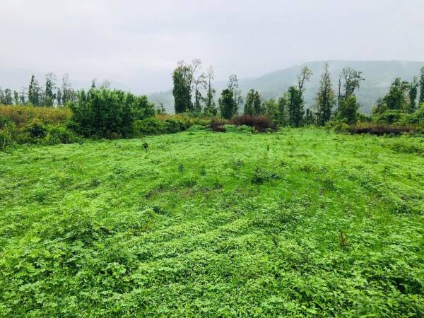  defence-colony-mussoorie-view Plot