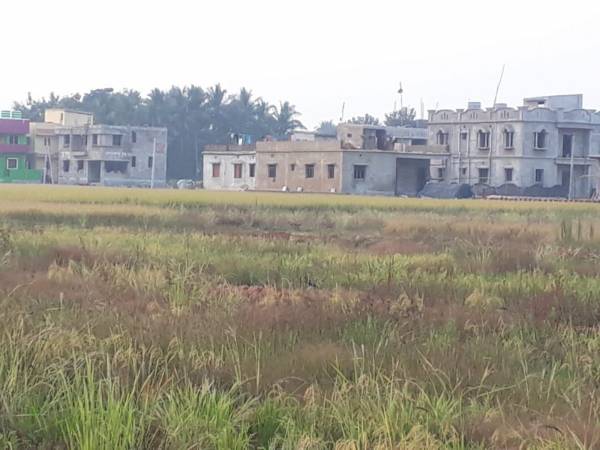  sai-vihara Elevation