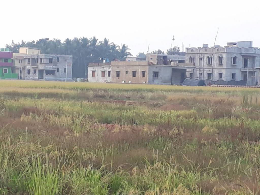 sai vihara Elevation