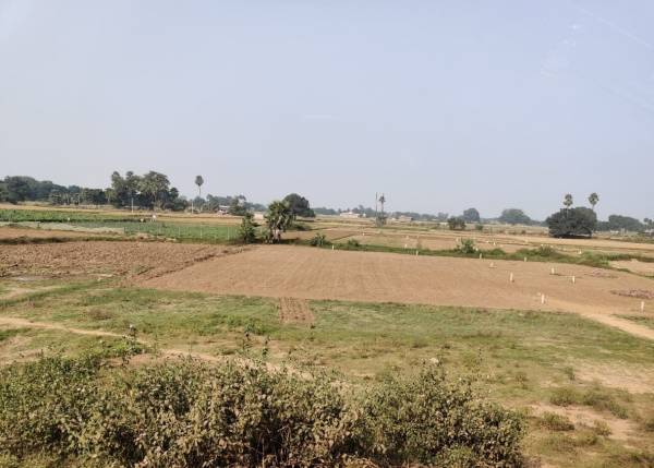 Elevation royal-paradise Elevation