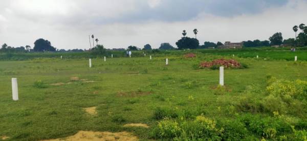  royal-paradise Elevation