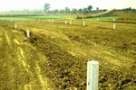 Indraprastha City