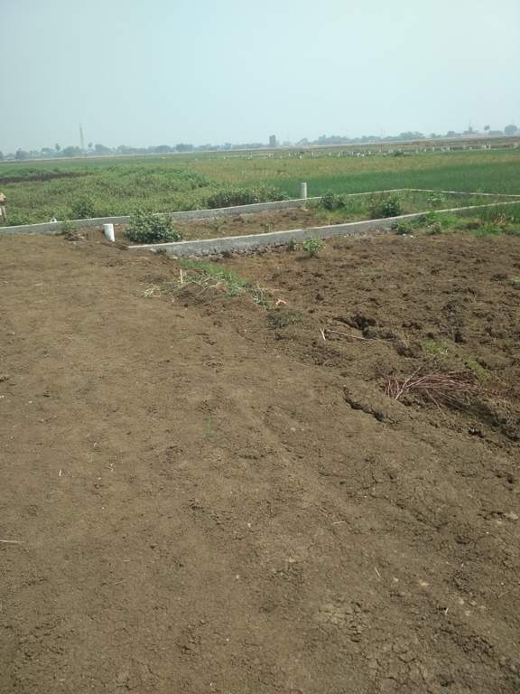  sampatchak green city Plot