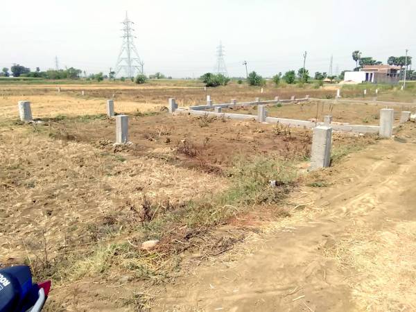 Plot sampatchak-green-city Plot