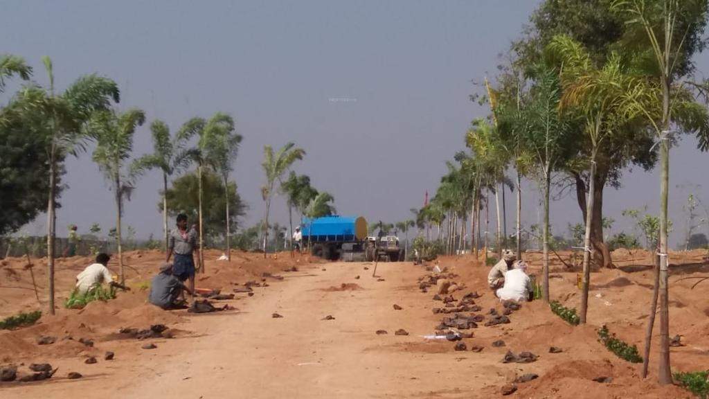  sahasra farmland 2 Elevation