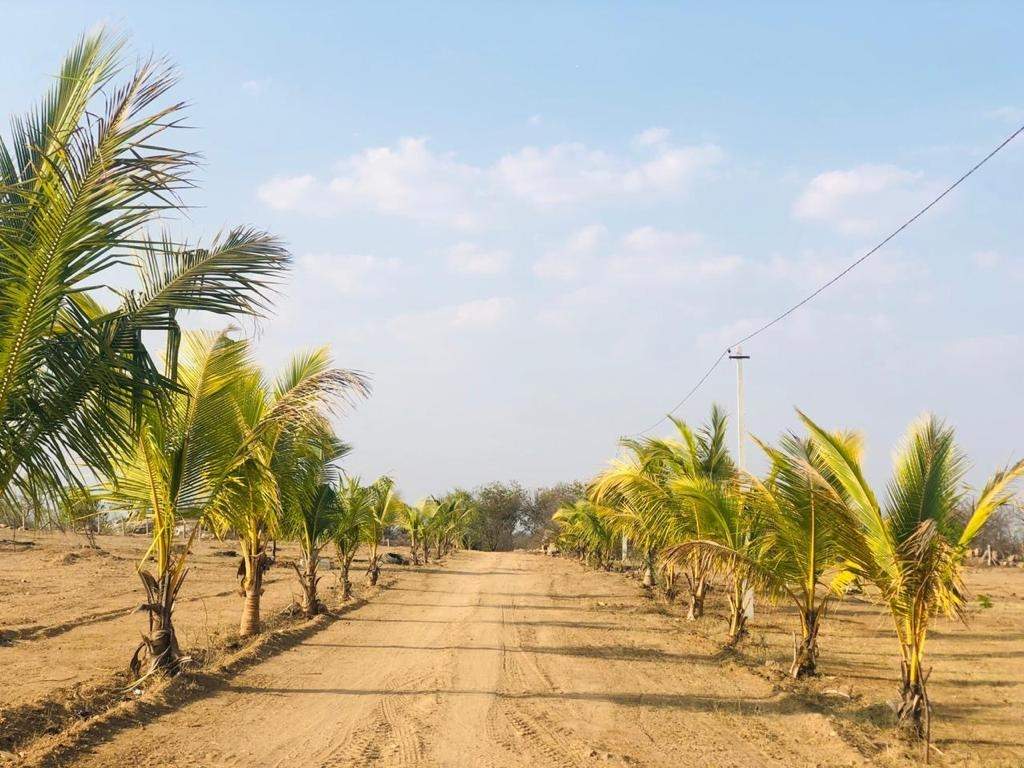  sahasra farmland 2 Elevation
