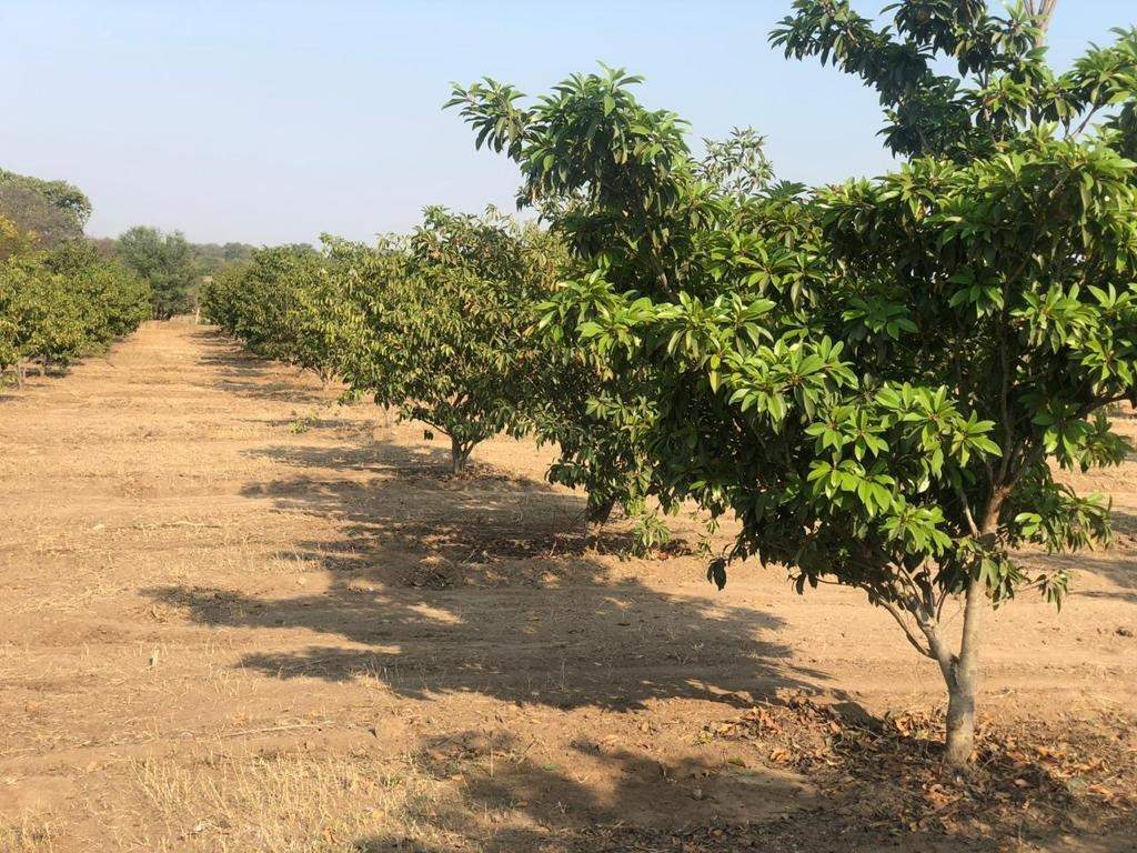  sahasra farmland 2 Elevation