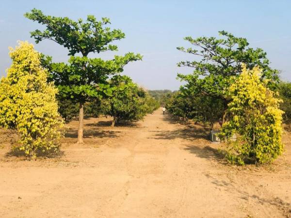  sahasra-farmland-2 Elevation