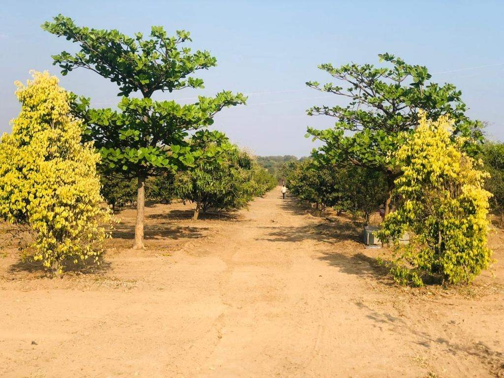  sahasra farmland 2 Elevation
