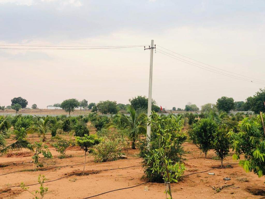  sahasra farmland 2 Elevation
