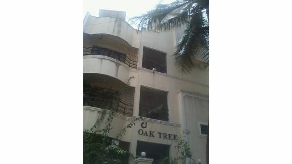 Elevation oak-tree Elevation