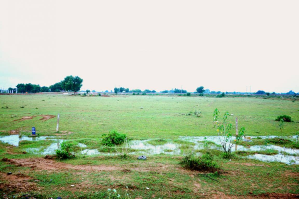vihar Plot