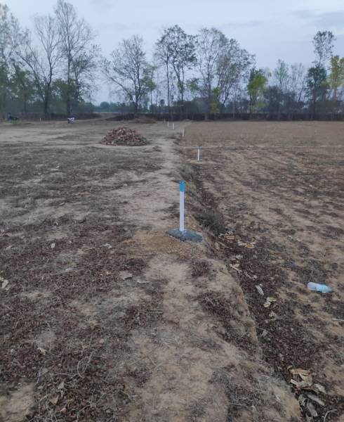  green-city Elevation