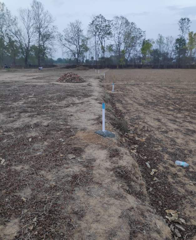  green city Elevation