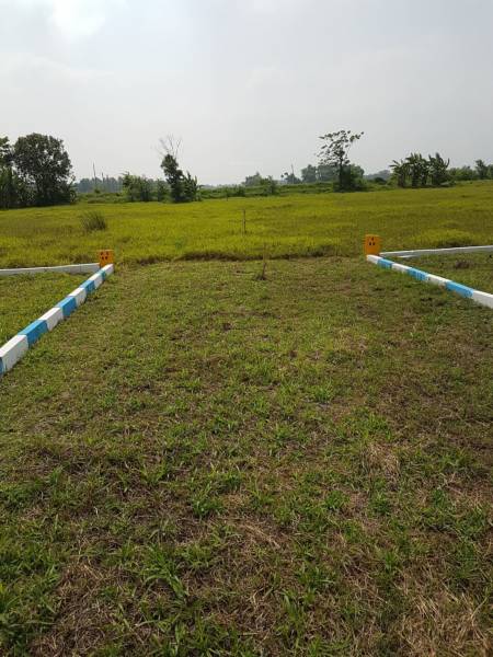 Elevation green-city Elevation