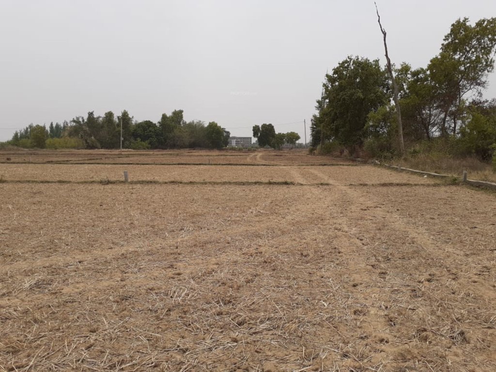 greencity township Elevation