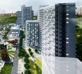 Project Image Project Image