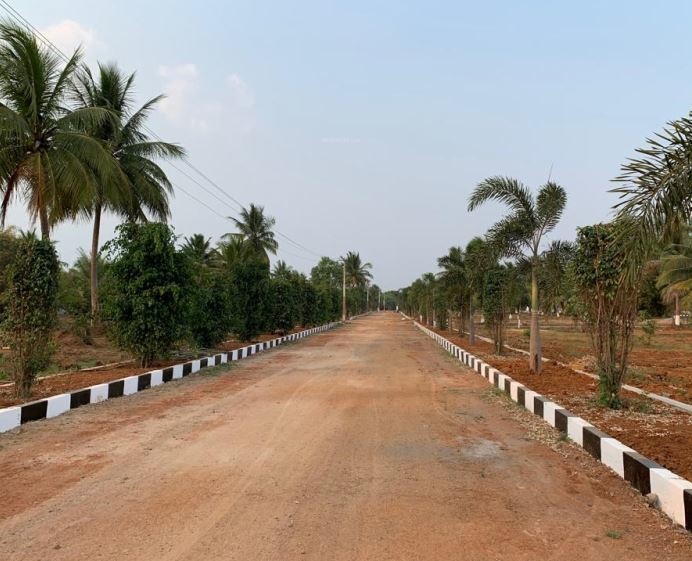 dhatri vanam Internal Roads