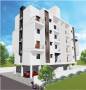 Seven Seas Developers Forest View