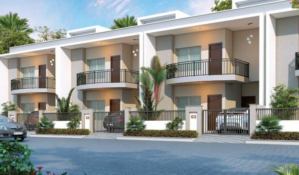 Elevation sapphire-majestic Elevation