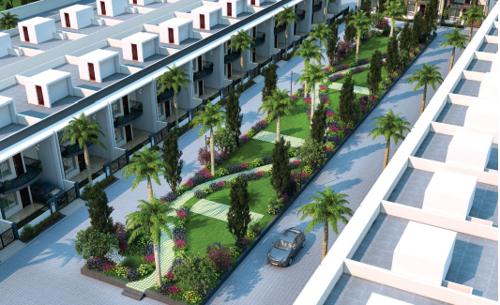  sapphire-majestic Others