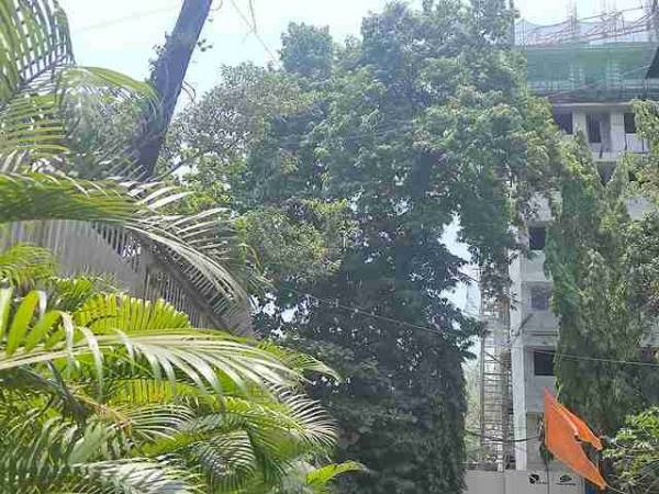 Construction Status May-23 constructionStatus of Shapoorji Pallonji The Canvas Residences