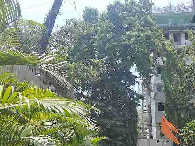 Shapoorji Pallonji The Canvas Residences