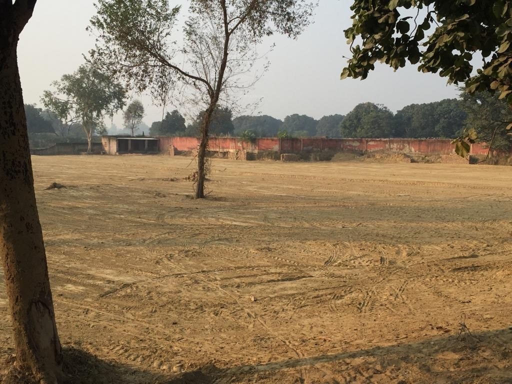  royal town Elevation