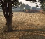 Elevation royal-town Elevation